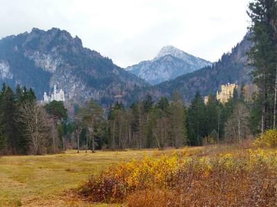 Schloss Neuschwanstein & Hohenschwangau