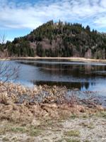 Schloßweiher mit Blick zur Ruine Eisenberg