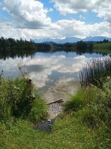 Schwaltenweiher